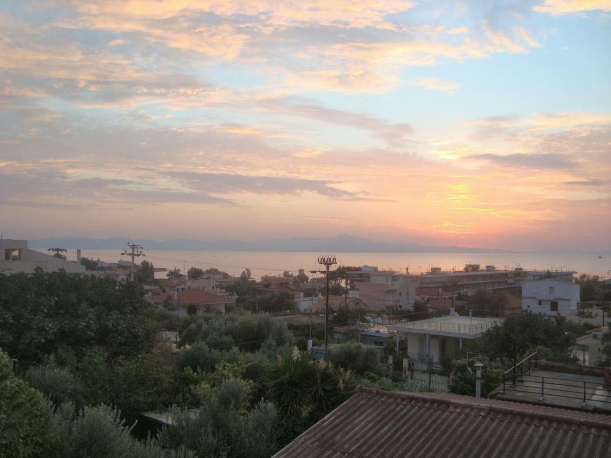 Smile House Near Athens Airport 300M From The Sea Artemida (Attica) Exterior foto